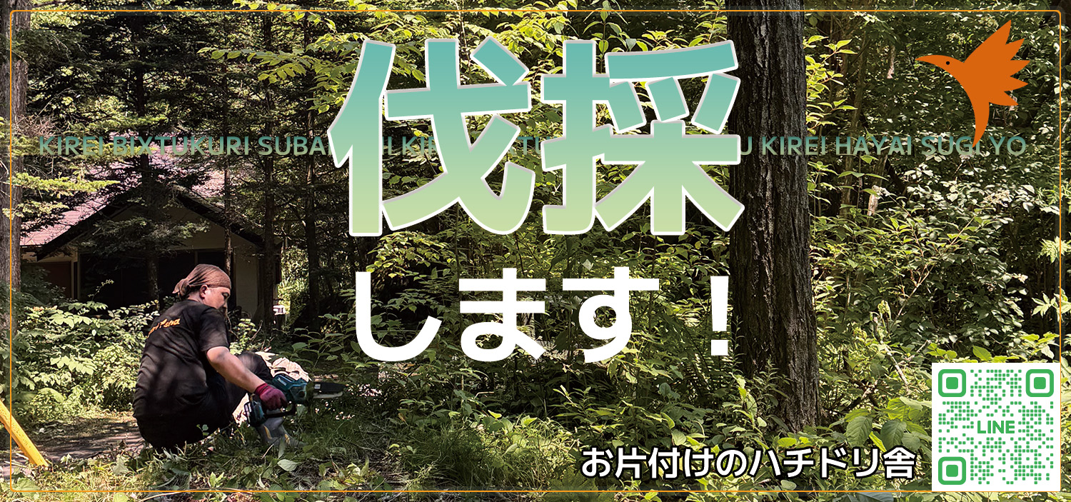 お片付けのハチドリ舎　ゴミ屋敷、遺品整理、伐採。どんなお片付けもお任せください。
